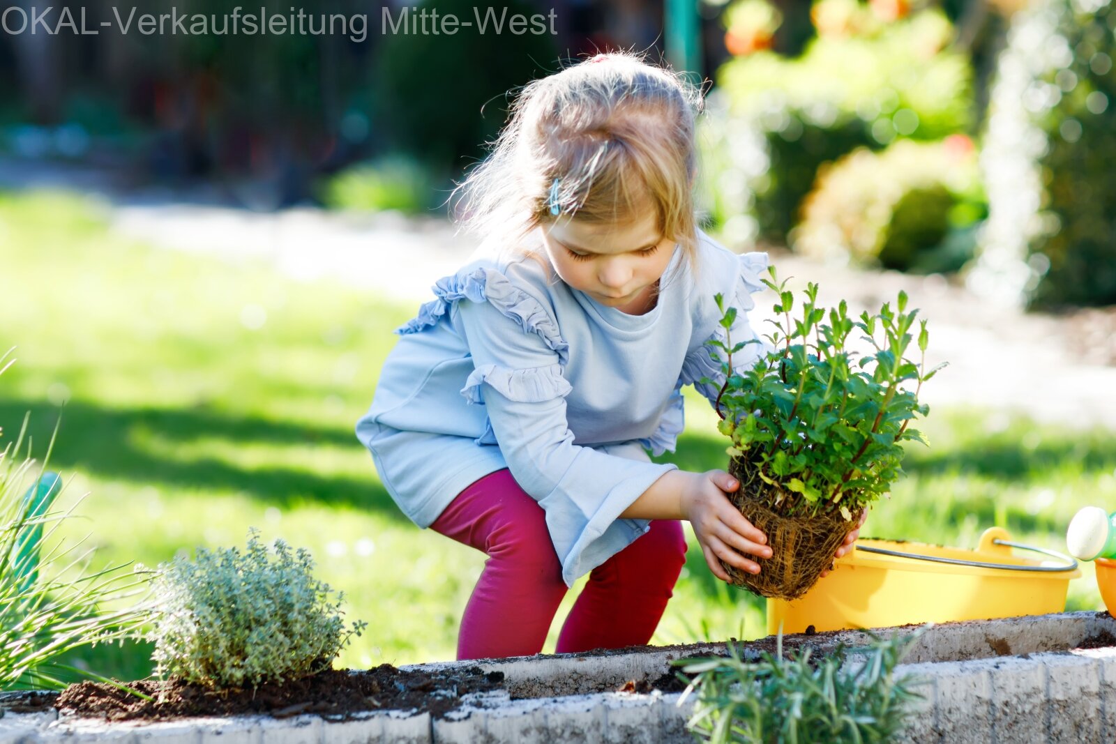 Stilvoll wohnen zum Vorteilspreis – Aktionshaus inkl. Grundstück, bezugsfertig!