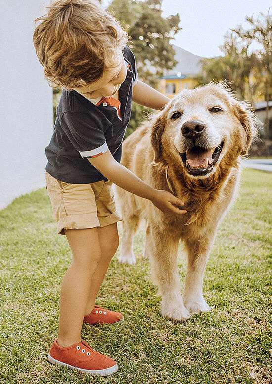 Ihr Einfamilienhaus mit offener Architekt *Malervorbereitet*