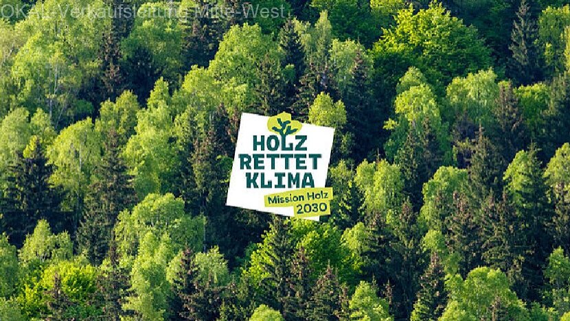 Kleines Raumwunder mit großem Flair