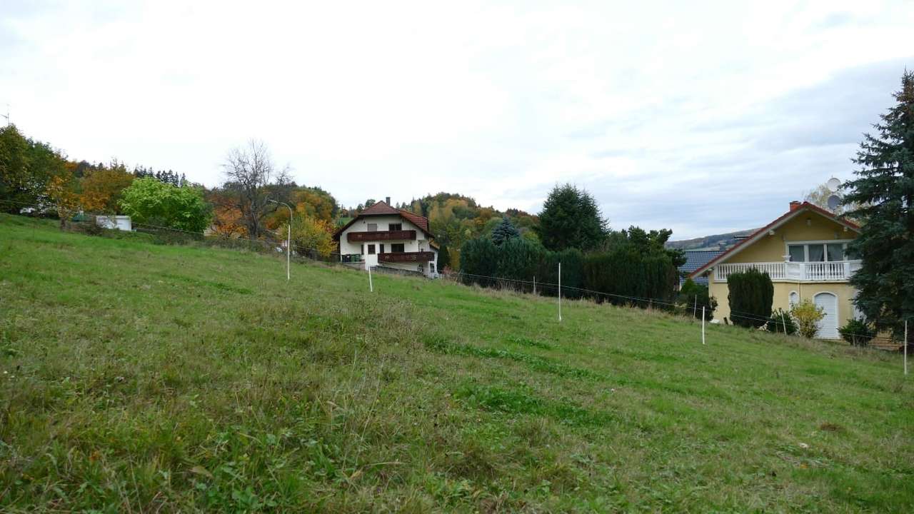 *OKAL EFH* mit KELLER, Küche inkl. 676m² GRUNDSTÜCK mit Blick, KfW 40, PROVISIONSFREI WÄCHTERBACH-H.