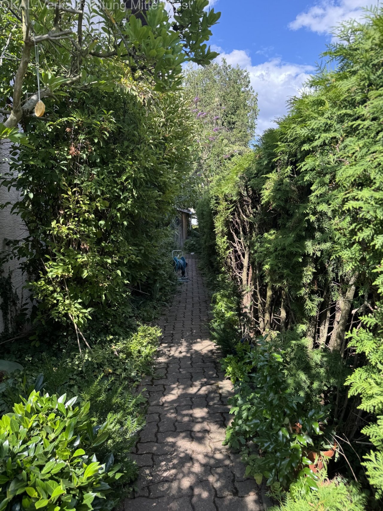 Weg zum Eingang Weg zum Eingang