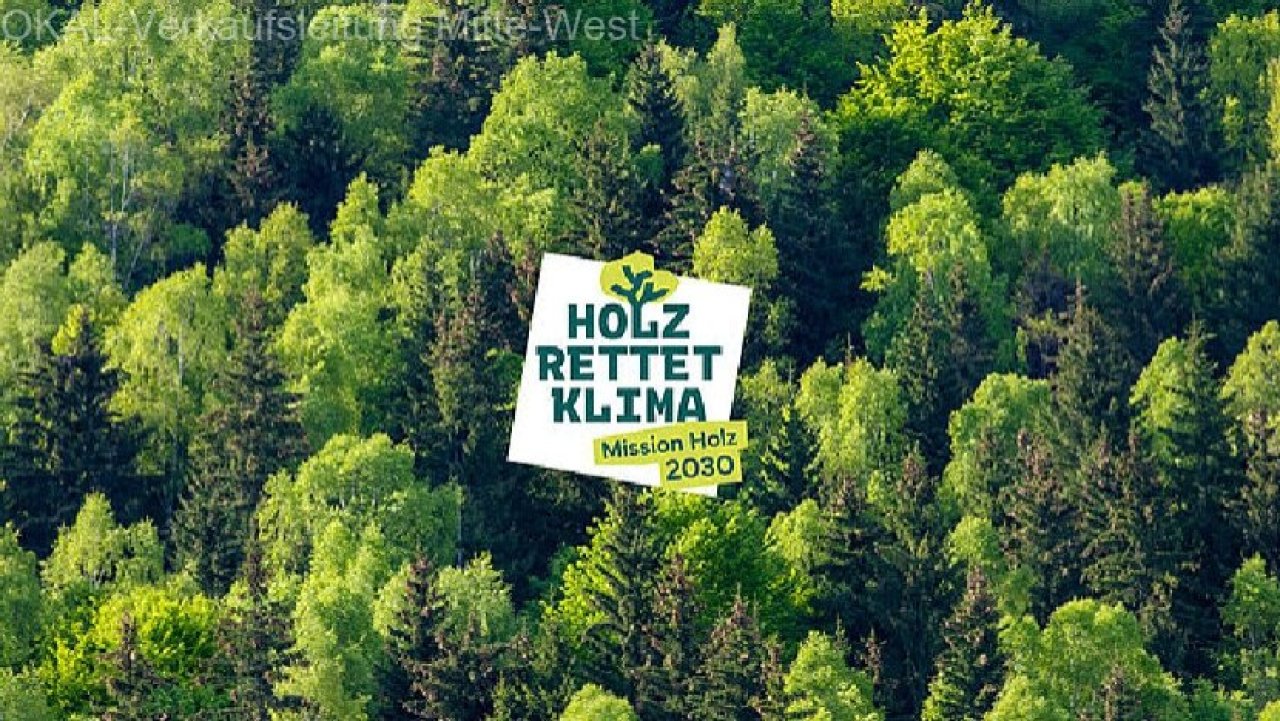 Holz rettet Klima